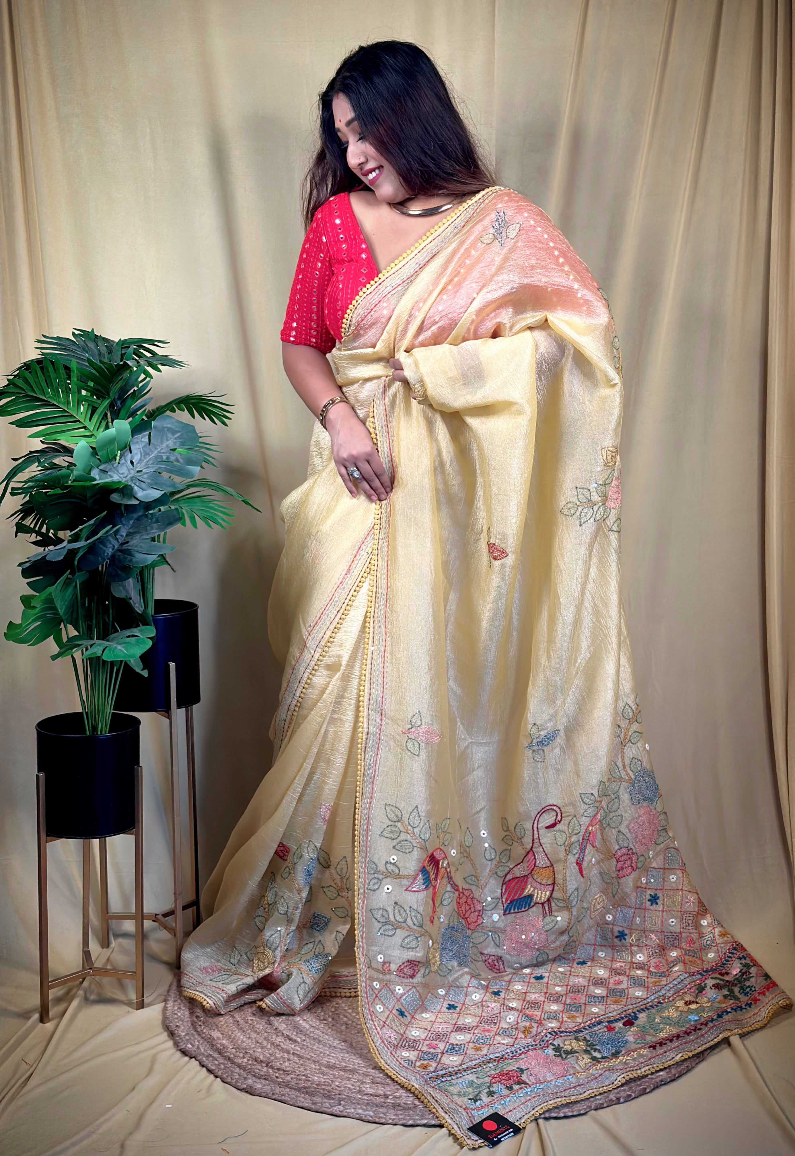 Organza Handwork Saree